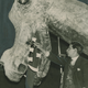 Illustration for article titled Dinosaur cosplay in the 1930s was fantastic, creepy as hell